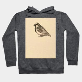 The King of birds Hoodie